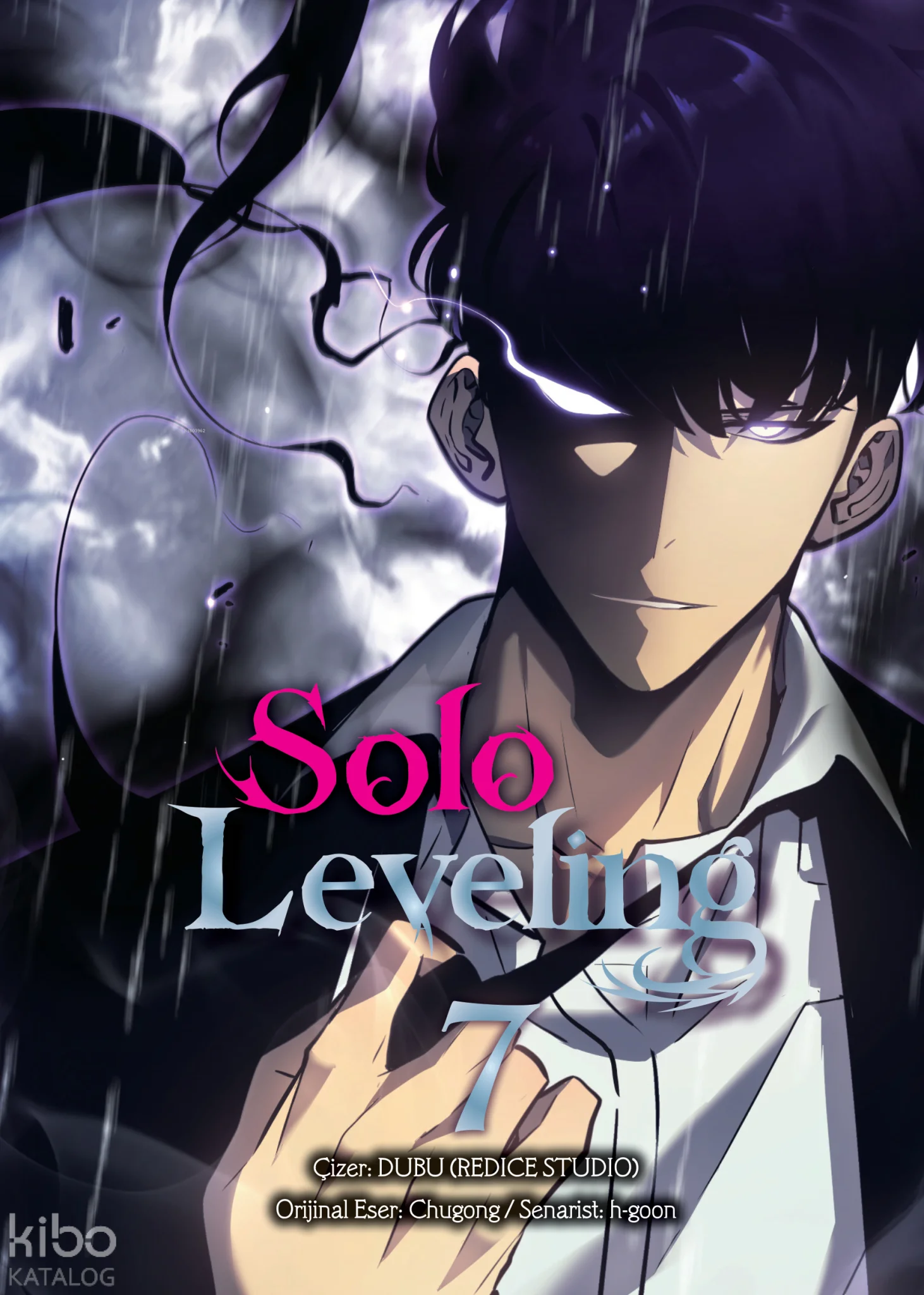 Solo Leveling Novel Cilt 7