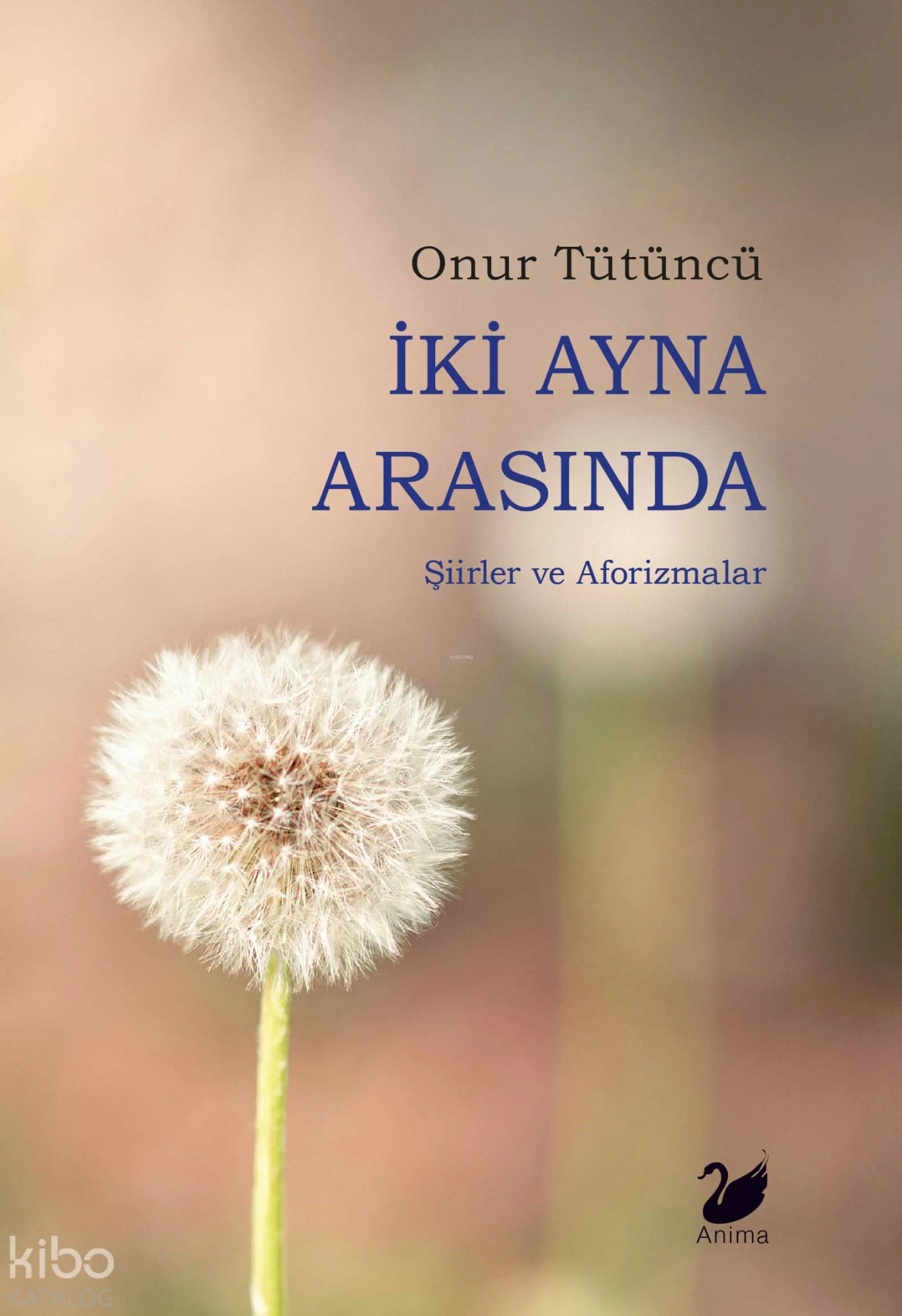 İki Ayna Arasında