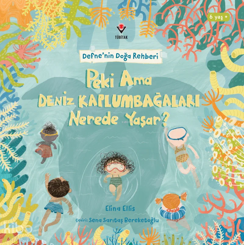 Defne'nin Doğa Rehberi - Peki Ama Deniz Kaplumbağaları Nerede Yaşar?