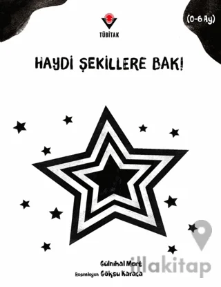 Haydi Şekillere Bak!