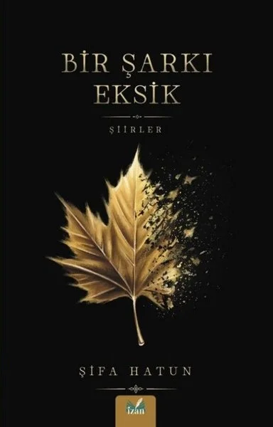 Bir Şarkı Eksik - Şiirler