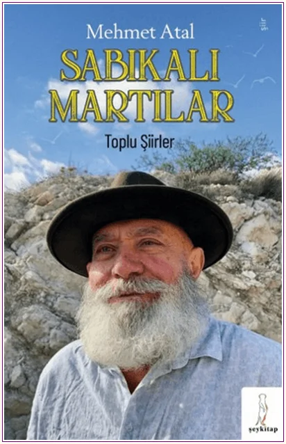 Sabıkalı Martılar - Toplu Şiirler -