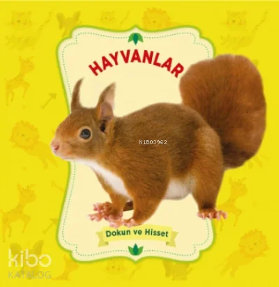 Hayvanlar – Dokun Ve Hisset
