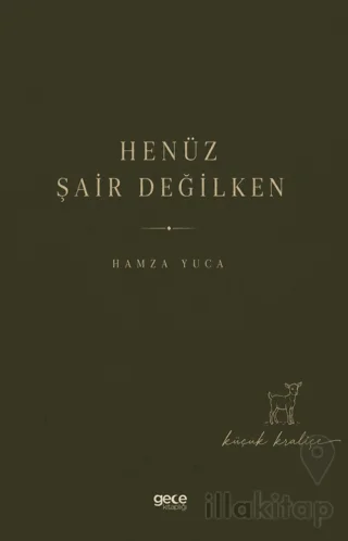 Henüz Şair Değilken