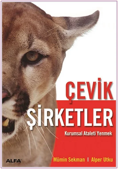 Çevik Şirketler: Kurumsal Ataleti Yenmek -