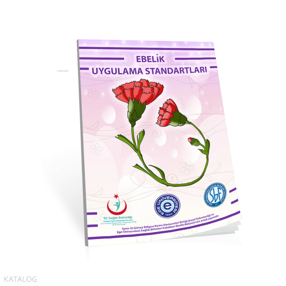 Ebelik Uygulama Standartları