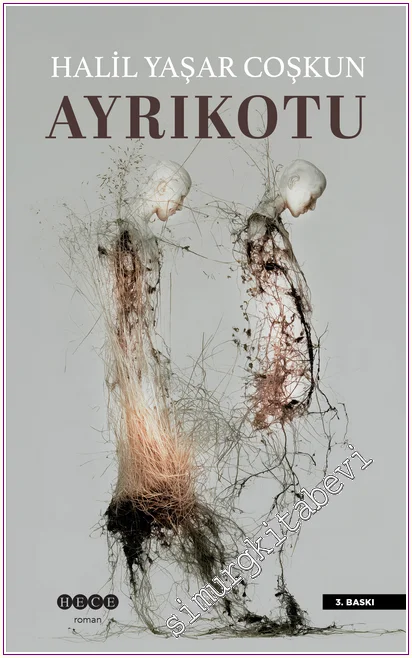 Ayrıkotu -