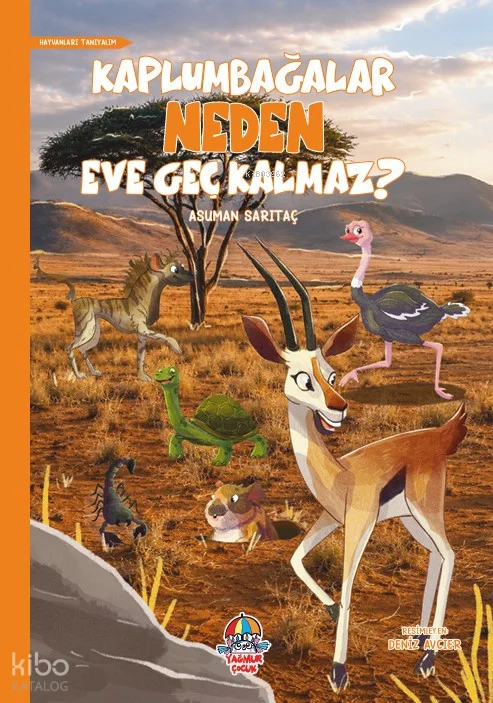 Kaplumbağalar Neden Eve Geç Kalmaz?