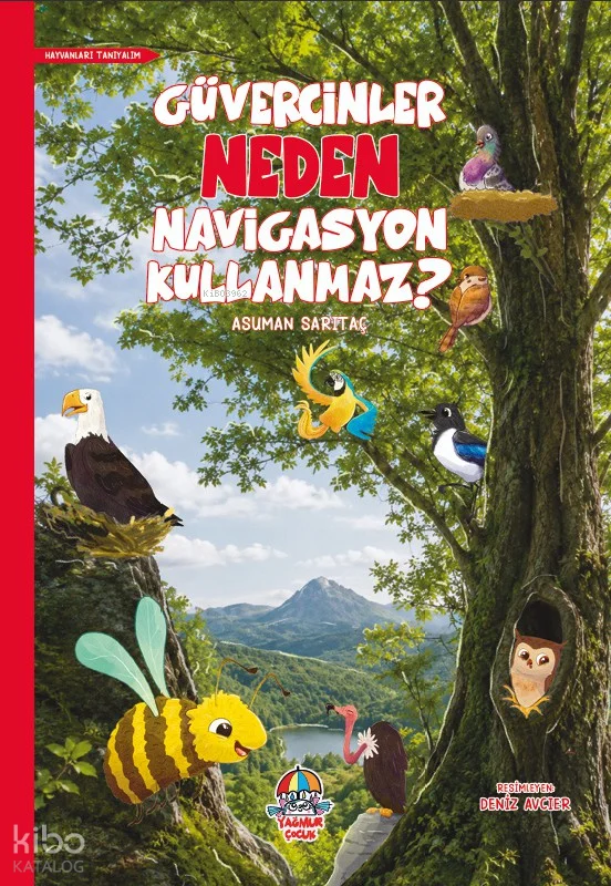 Güvercinler Neden Navigasyon Kullanmaz?