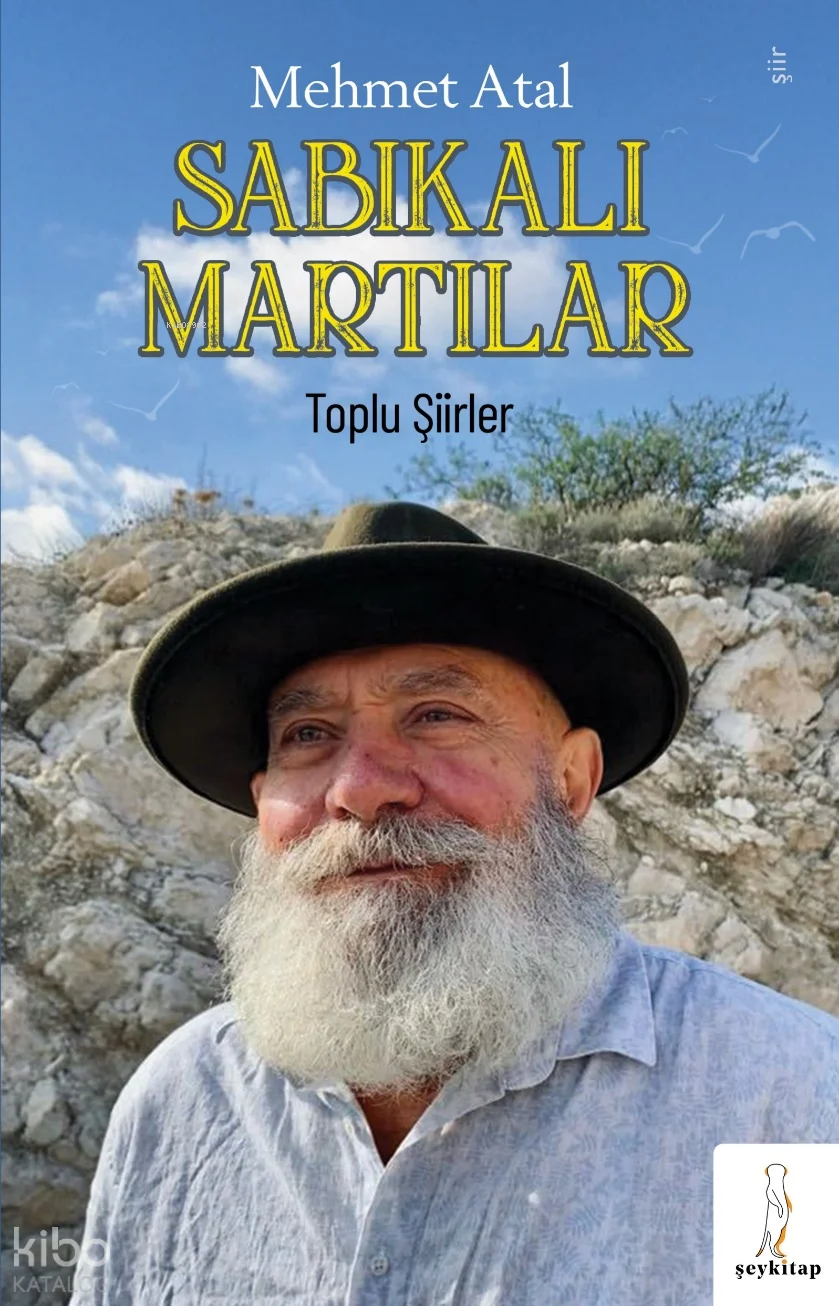 Sabıkalı Martılar