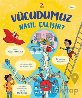 Vücudumuz Nasıl Çalışır?