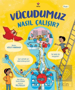 Vücudumuz Nasıl Çalışır?