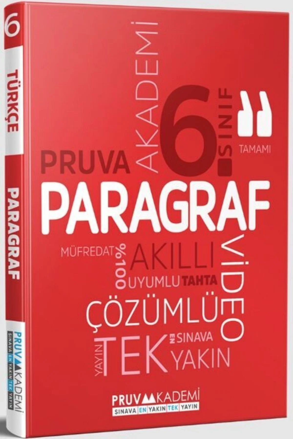 PRUVA 6.SINIF PARAGRAF SORU BANKASI