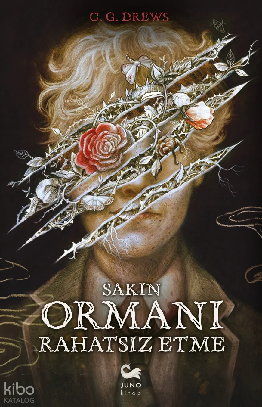 Sakın Ormanı Rahatsız Etme!