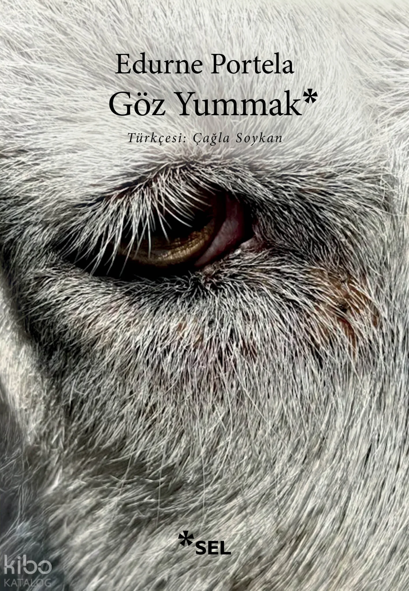 Göz Yummak