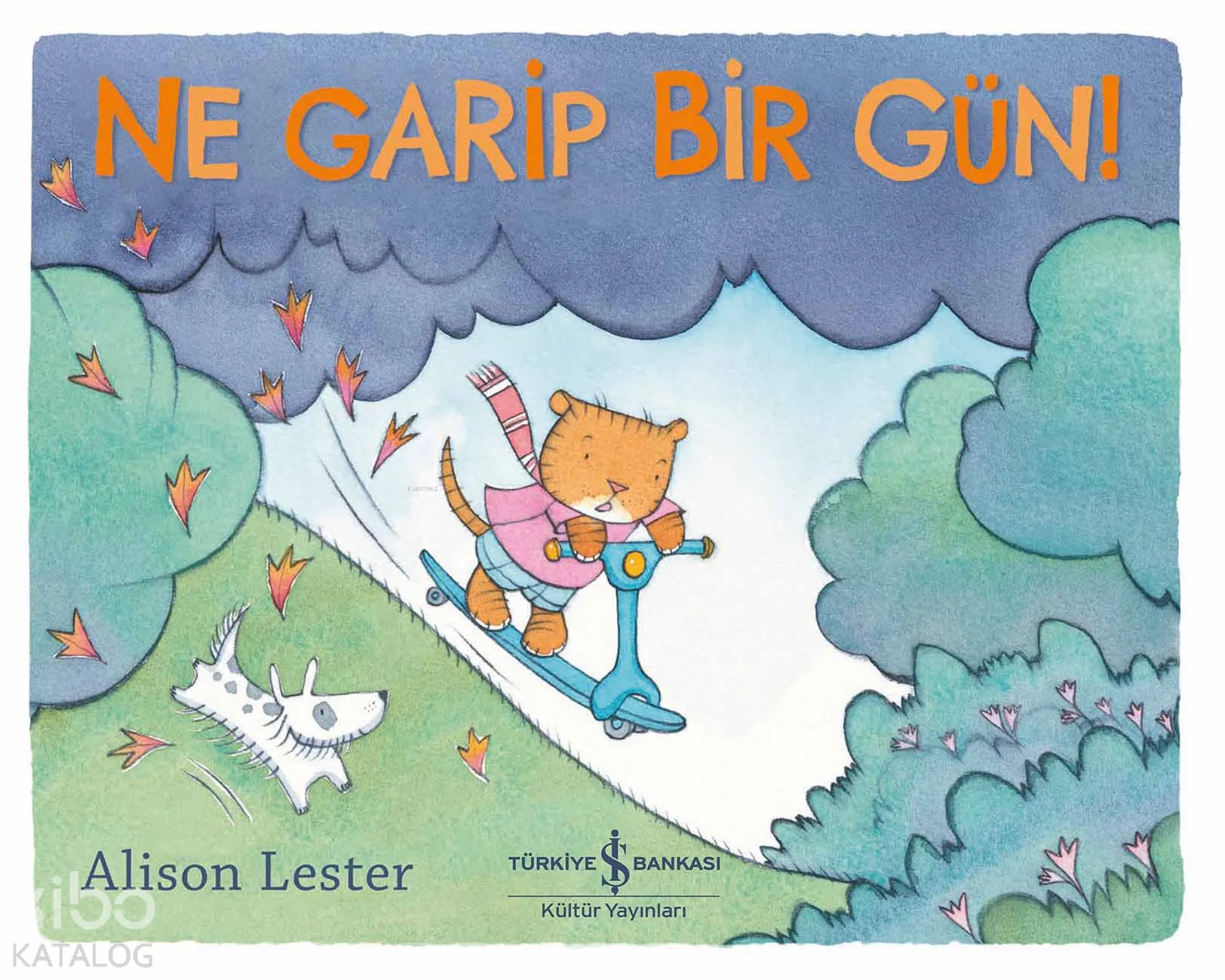 Ne Garip Bir Gün