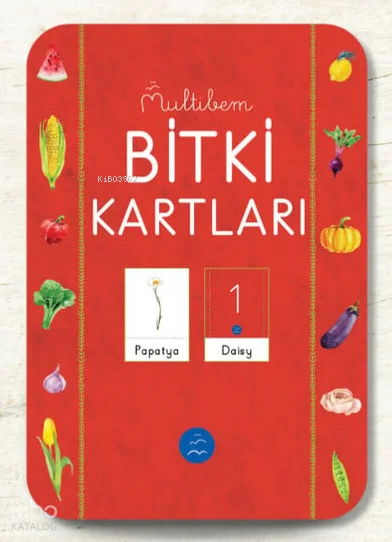 Bitki Flaş Kartları