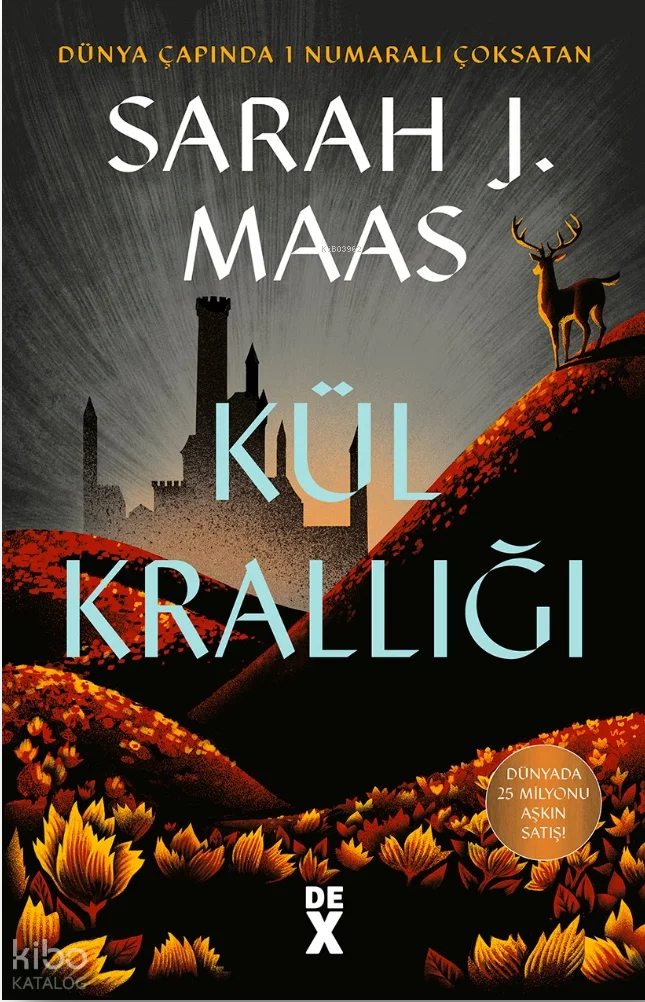 Cam Şato 7: Kül Krallığı (Ciltli)