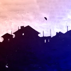FEWZÎ BÎLGE